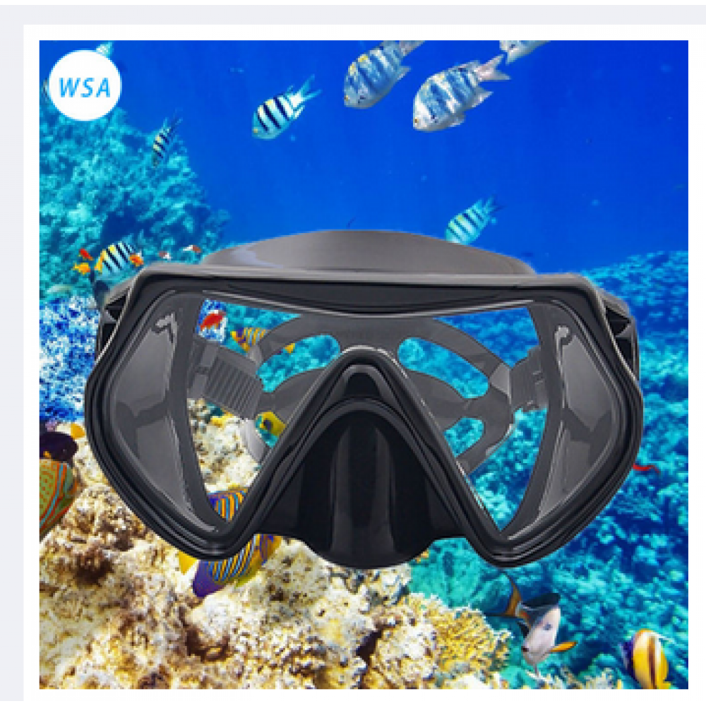 Swimming Goggles Large Frame