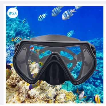 Swimming Goggles Large Frame