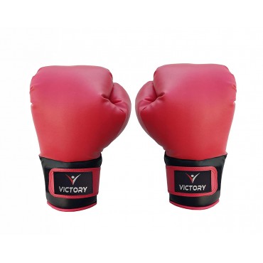 Ultra Boxing Gloves